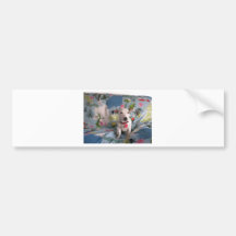 Jack Russell Terrier Bumper Stickers