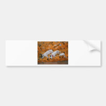 Jack Russell Terrier Bumper Stickers