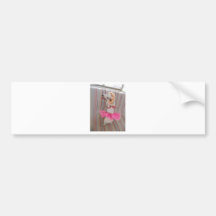Jack Russell Terrier Bumper Stickers