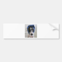 Jack Russell Terrier Bumper Stickers