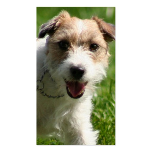 Jack Russell Terrier business cards (front side)