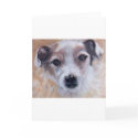 Jack Russell Terrier cards by Catahoula Jack Russell Terrier cards
