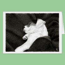 Jack Russell Terrier Card -  "Bliss" cards