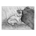 Jack Russell Terrier Dog Drawing by Kelli Swan cards