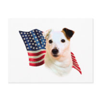 Jack Russell Terrier Flag postcards
