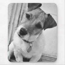 Jack Russell Terrier Mouse Pads