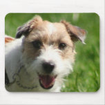 Jack Russell Terrier mousepad