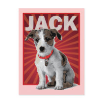 Jack Russell Terrier Pet Owner Post Cards