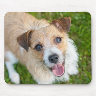 Jack Russell terrier photo mousepad mousepad