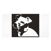 Jack Russell Terrier photo cards by McBain Jack Russell Terrier photo cards