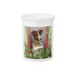 Jack Russell Terrier Pitcher