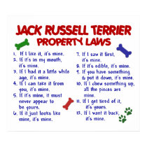 JACK RUSSELL TERRIER PL2 posters by poochloverstuff JACK RUSSELL TERRIER PL2 posters