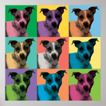 Jack Russell Terrier Pop-Art Poster
