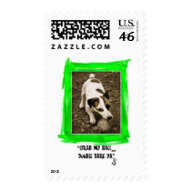 Jack Russell Terrier postage by animalgarden Jack Russell Terrier postage