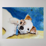Jack Russell Terrier Print Jack Russell Terrier Print