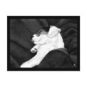 Jack Russell Terrier Pup Postcard - "Bliss"