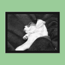Jack Russell Terrier Pup Postcard - "Bliss"