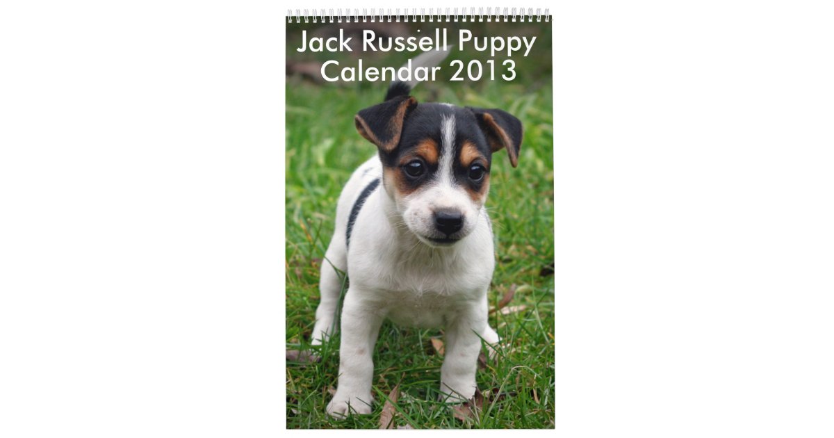 Jack Russell Terrier Calendar
