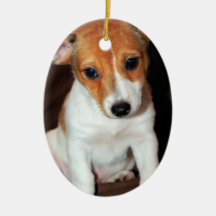Jack Russell Terrier Puppy Dog Ornament