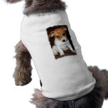 Jack Russell Terrier Puppy Dog  Pet Shirt