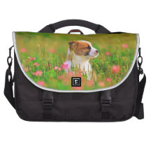 Jack russell terrier puppy in the glass laptop bag