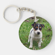 Jack Russell Terrier Puppy on Grass AcrylicKeyring