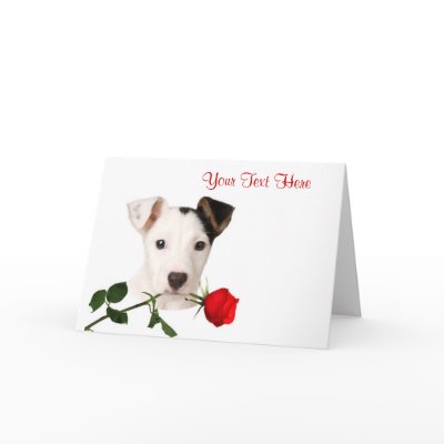 red jack card
