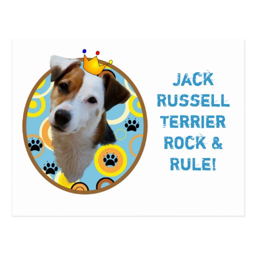 Jack Russell Terrier Rock & Rule Postcard