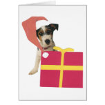 Jack Russell Terrier Santa Hat Card