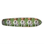 Jack Russell Terrier Skateboard