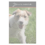 Jack Russell Terrier stationary Stationery