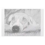 Jack Russell Terrier Stationery