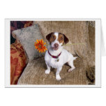 Jack Russell Terrier Thank You Card