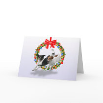 Jack Russell Terriers with wreath cards by justforjacks Jack Russell Terriers with wreath cards