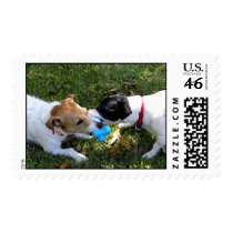 JACK RUSSELLS PLAYING STAMPS
