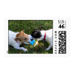 JACK RUSSELLS PLAYING STAMPS