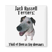 Jack Russells: tiny dinosaurs Fridge Magnet