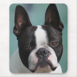 Jack the boston mousepads