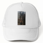 Jack the Quarter Horse Hat