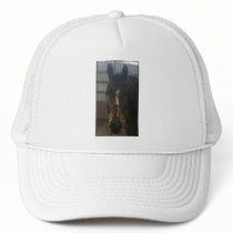 Jack the Quarter Horse Hat