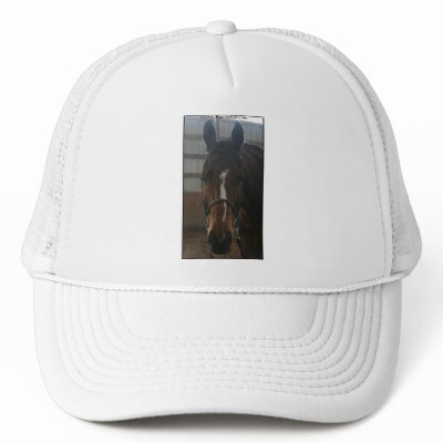 Jack the Quarter Horse Hat by EquineGal