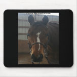 Jack the Quarter Horse Mousepad