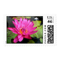 Jack Wood stamps