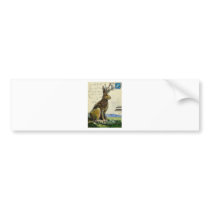 Jackalope #2 by James J. Froese Bumper Stickers
