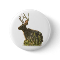 Jackalope Button