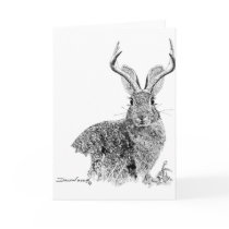 Jackalope Cards