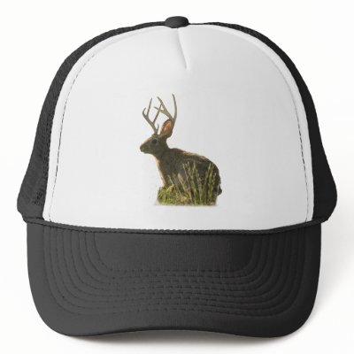 Jackalope Hat by Pennylanephoto