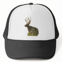 Jackalope Hat by Pennylanephoto Jackalope Hat