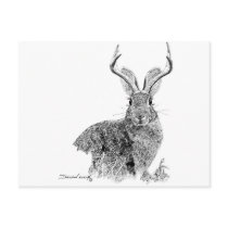 Jackalope Post Cards
