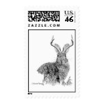 Jackalope Stamps